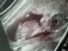 user84534_pic92026_1397640651.jpg
