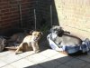 DSCN0853.jpg