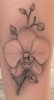tattoo 3.jpg