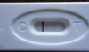 test3.jpg