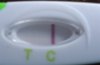 test1.jpg
