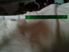 20140422_071155.jpg