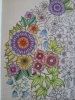 20140422_132235.jpg