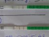 DSC00729.jpg