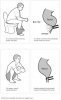sitting+vs+squatting+pooping+posture.jpg