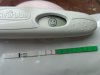 DSC00732.jpg