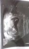 received_m_mid_1398710033810_9dd61825c6d307ae62_2.jpg