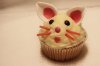 cupcake5.jpg