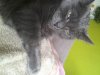 20140430_114935.jpg