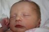 Mila 2 wk.jpg