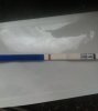 test12meigoed.jpg