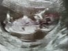 IMG-20140506-WA0007.jpg