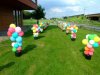 DSCF7073.jpg