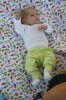 Mila 4 wk-.jpg