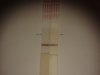 20140528_151124.jpg