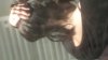 20140528_132255.jpg