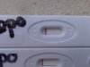 DSC00803.jpg