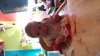 20140414_183827.jpg