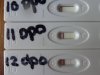 10,11 EN 12 DPO.jpg