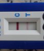 15 DPO.jpg