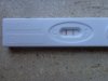 16 dpo.jpg