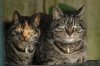 DSC03742.jpg