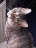 20120710_190001.jpg