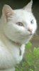 DSC04225.jpg