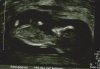 Scan (2).jpg