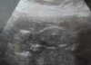 baby1.jpg