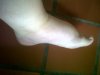 IMG00143-20120715-1942.jpg