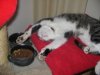 IMG_0018-4.jpg