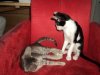 DSC01360.jpg