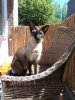 DSC00983.jpg