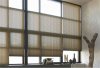 Vario-shadow1.jpg