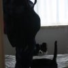 33wkn.jpg