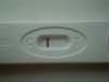 test 25-07-12 003.jpg