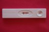Zw.schapstest 15dpo 26-07-2012.jpg