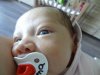 DSC00493.jpg