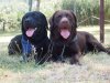 italie 2012 386.jpg