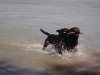 italie 2012 392.jpg