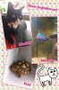 Collage 2014-06-08 12_06_04.jpg