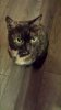 IMG-20131118-WA0009.jpg