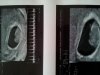 20130705_124304.jpg