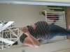 20140620_133006.jpg