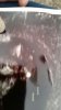 IMG-20140621-WA0002.jpg