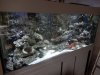 DSCN0948.jpg
