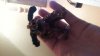 20140627_224540.jpg