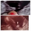 PhotoGrid_1404030409897.jpg