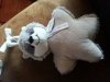 20140701_165400.jpg